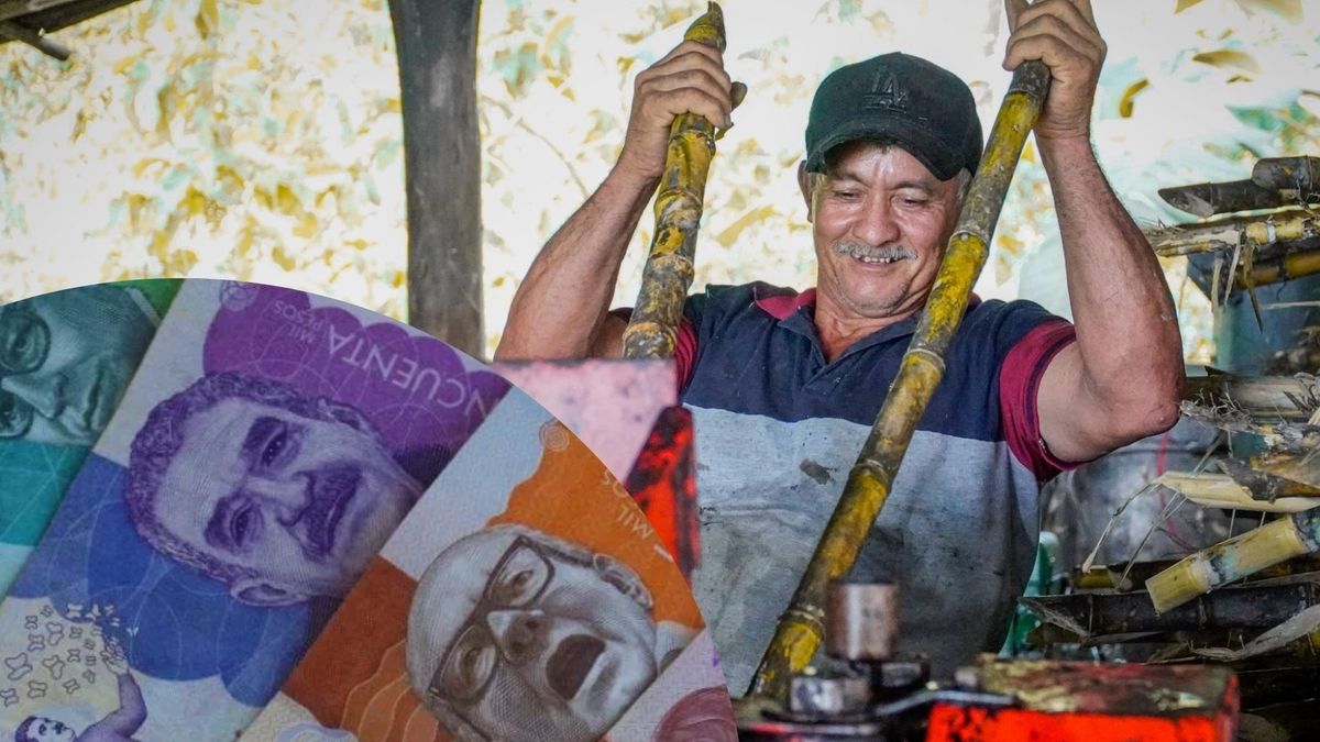 Paneleros de Cundinamarca