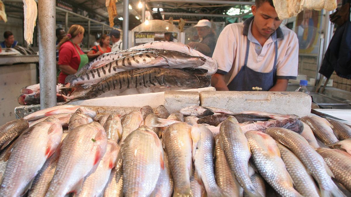 Puesto de venta de pescado en una plaza de mercado