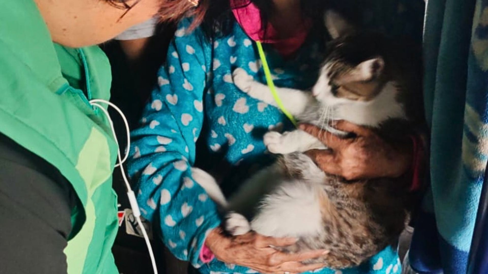 Incendio no pudo con él: sus siete vidas siguen intactas en el centro