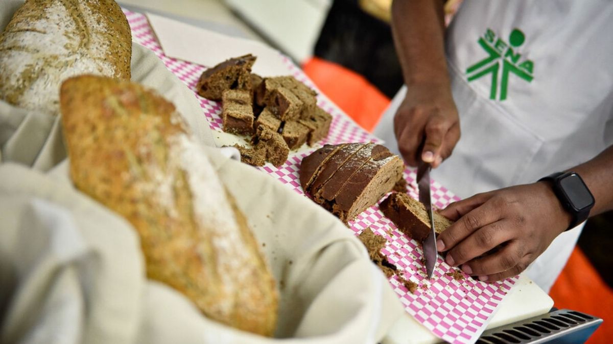 SENA abre más de 41 mil cupos para estudiar gratis en 2026