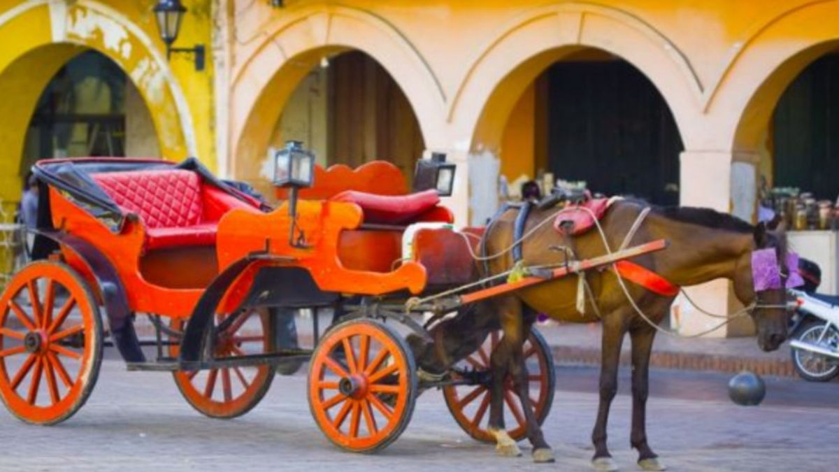 Imagen de referencia de caballos en el Centro Histórico de Cartagena