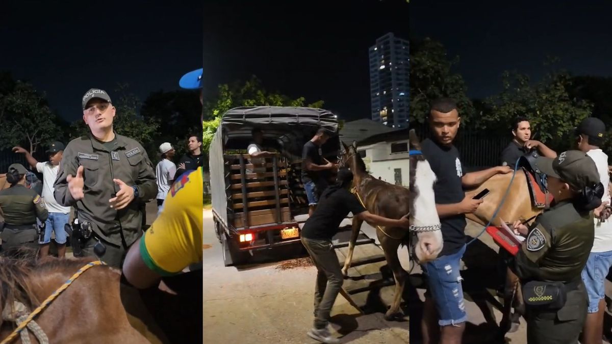 Policía rescatando equinos en Cartagena