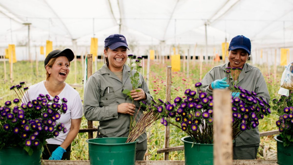 Más de 600 personas han sido beneficiadas con trabajos formales