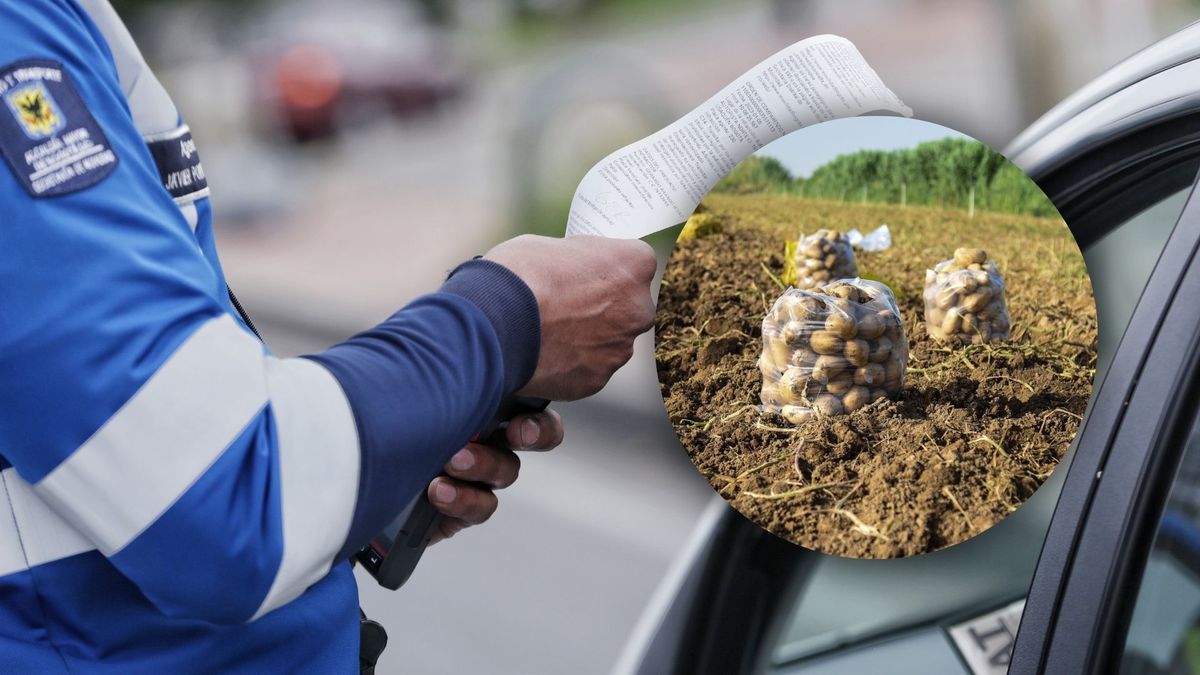 Policía de tránsito imponiendo multa a cultivador de papa