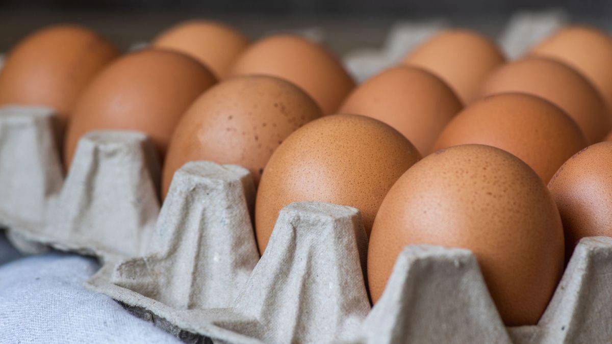 Cayó el precio del cartón de huevos en Colombia