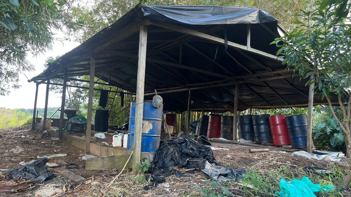 Complejo cocalero del ELN en Norte de Santander