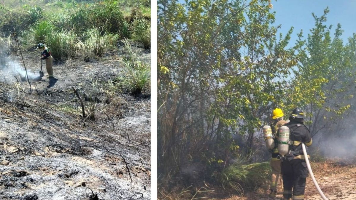 Bomberos atienden incendios forestales en Santa Marta