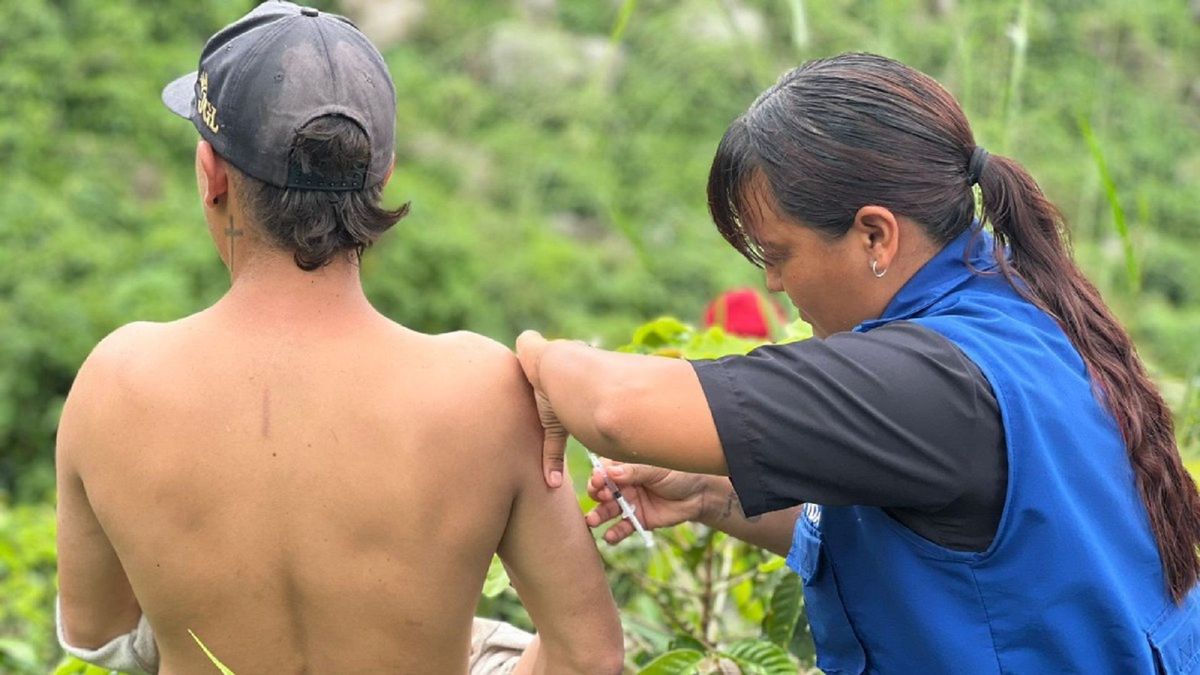 Vacunación fiebre amarilla en Tolima