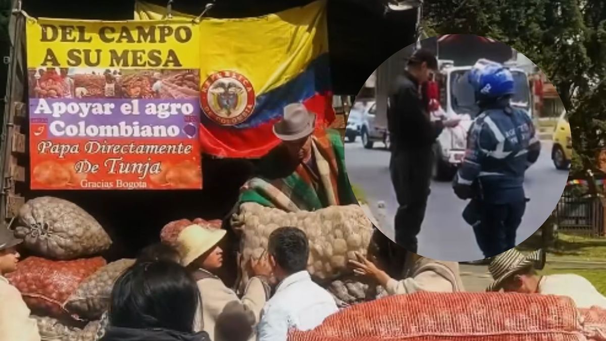 Campesinos multados tras vender papa en Bogotá