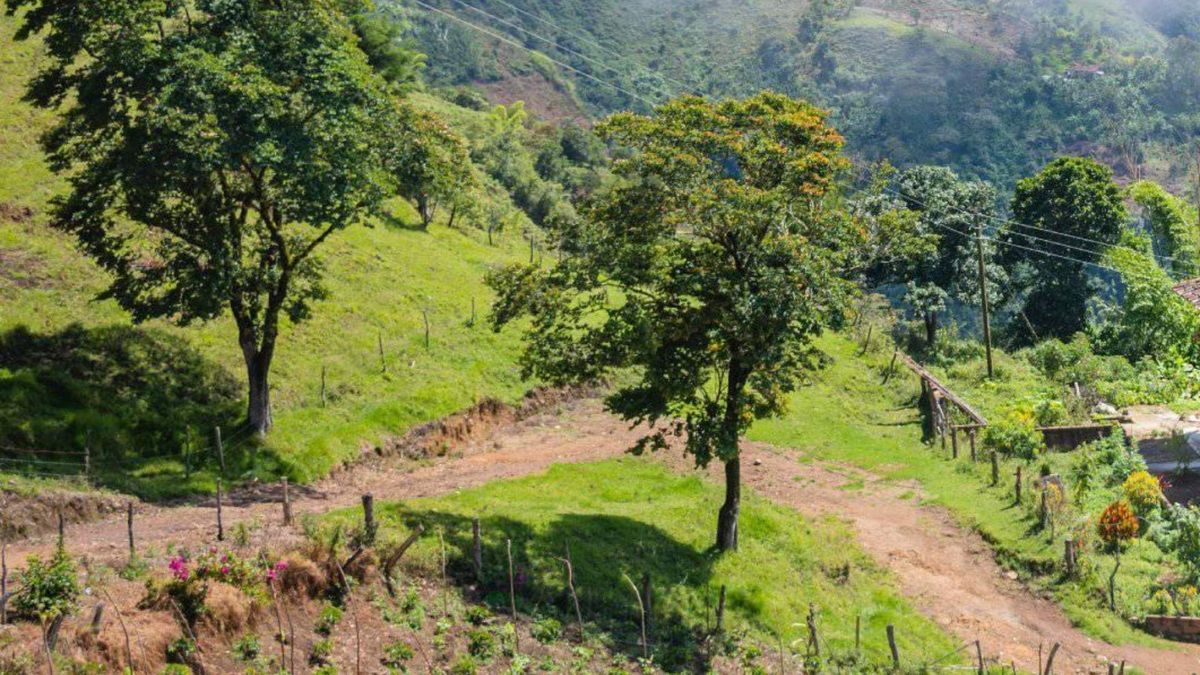 Zona de rural de Abejorral.