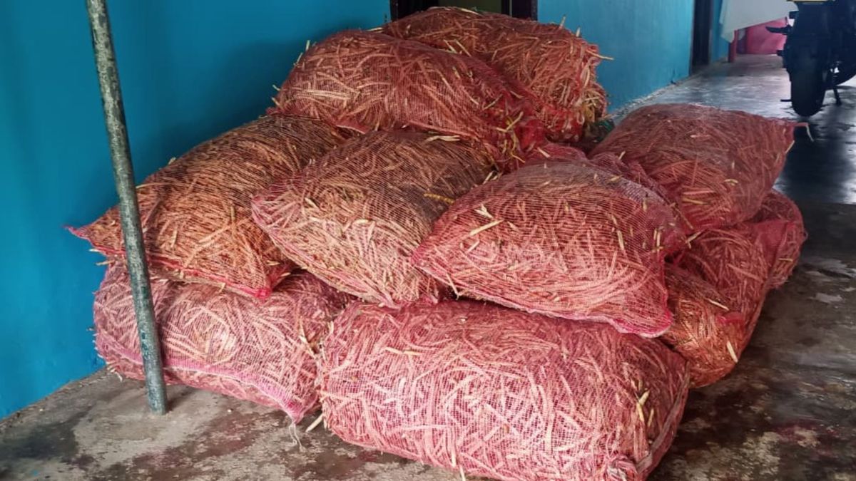 Toneladas de Frijol en Córdoba