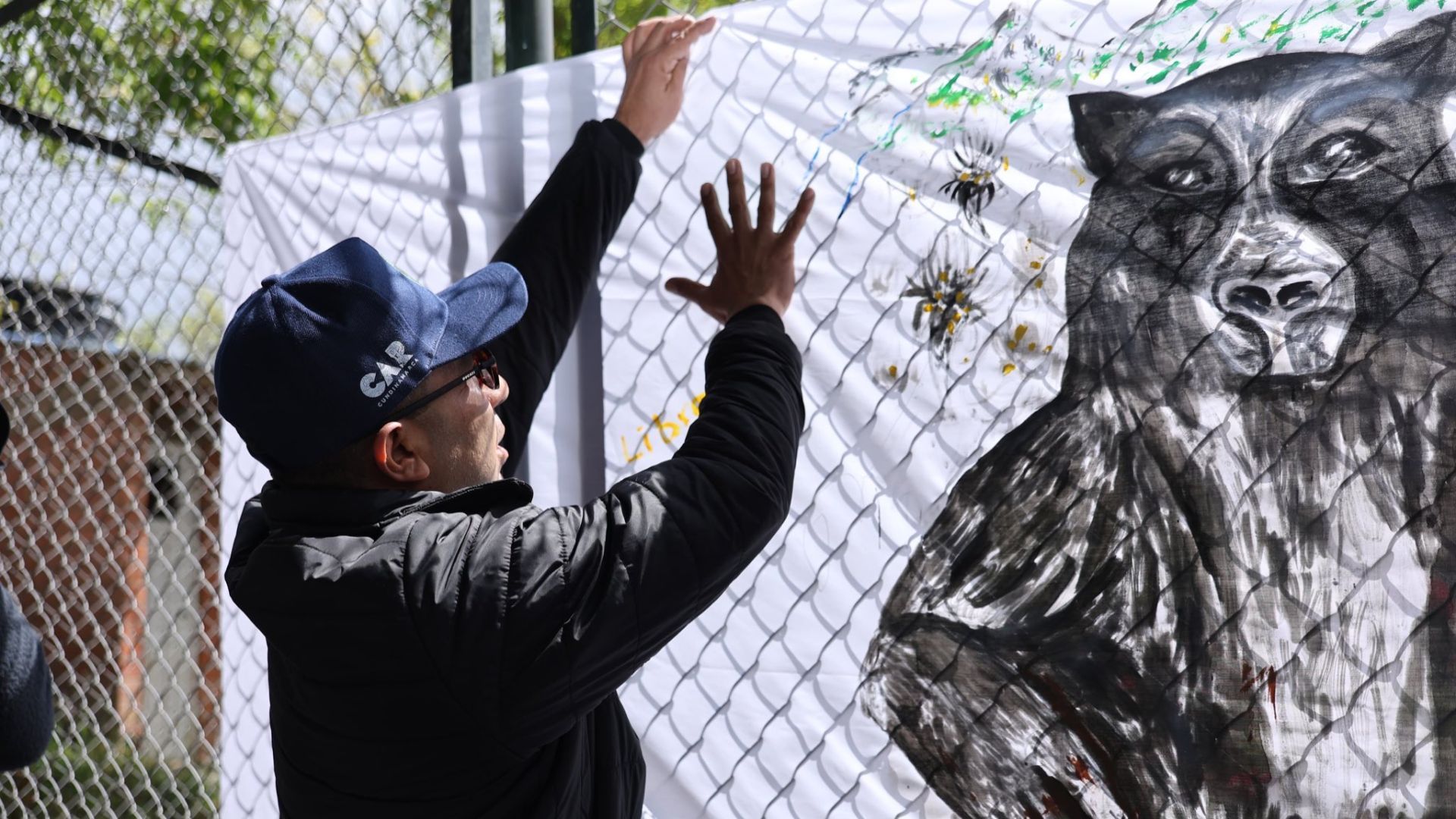 Villapinzón y Boyacá se la juegan por el osito andino con pacto regional