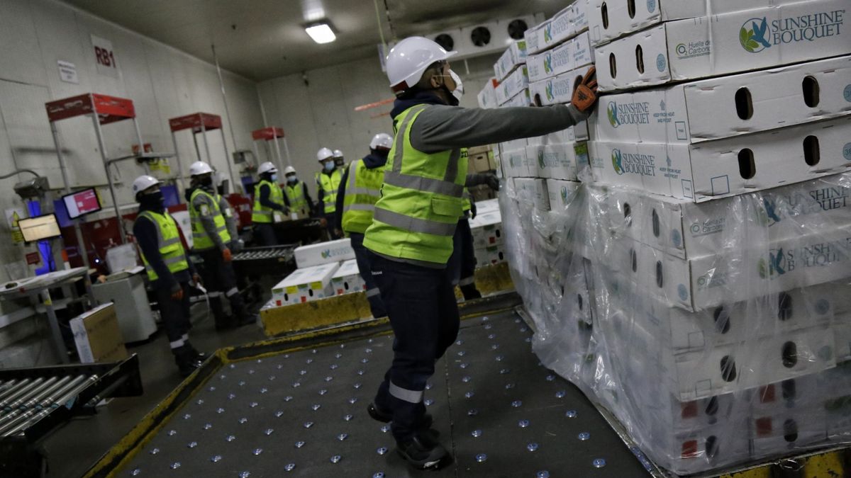 Hombre trabajando en una bodega