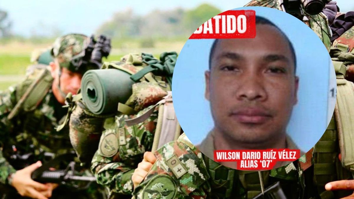 Foto de Alias 07- imagen de referencia de Ejercito Nacional