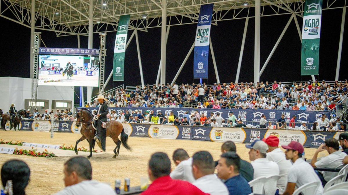 Bolívar será la sede de la versión 43 de la Exposición Nacional Equina 2027