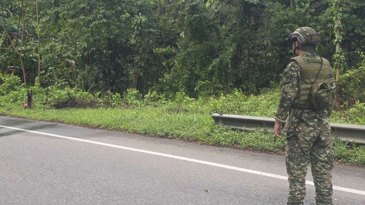 Ejército evitó atentado terrorista en Valdivia, Antioquia