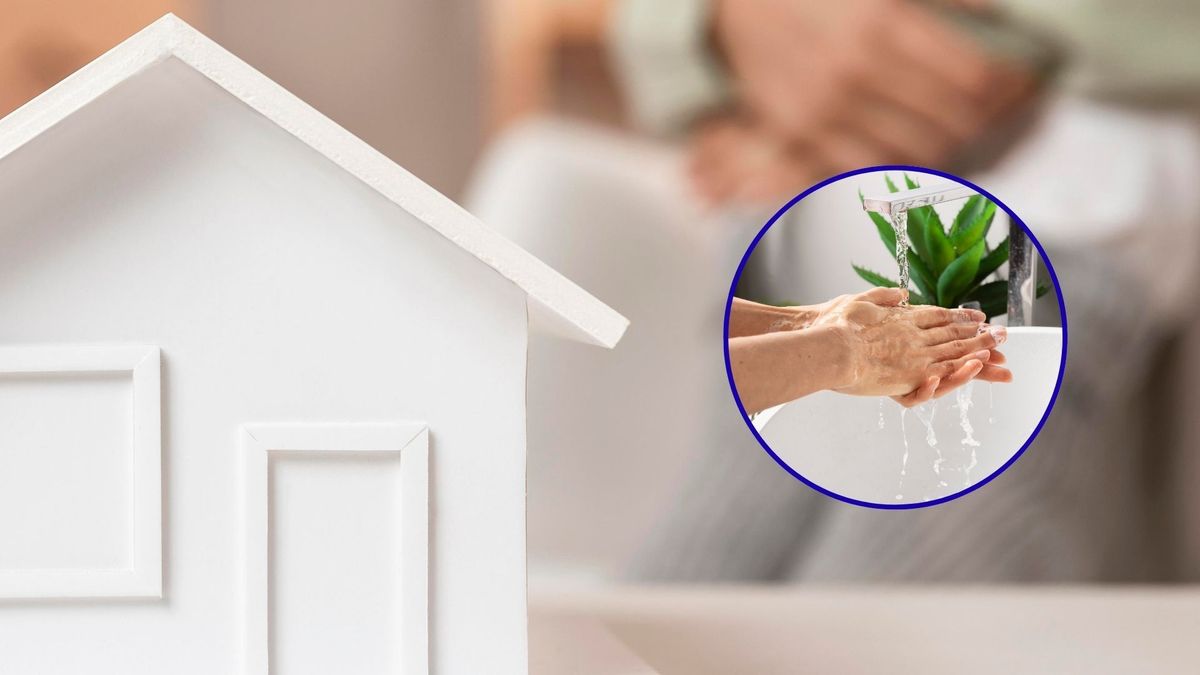 Distrito impulsa ahorro de agua con nuevos sistemas de aprovechamiento de lluvia