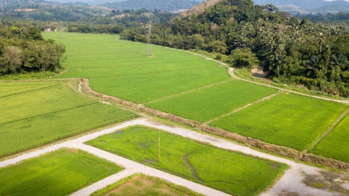 Predios en zona rural de Barbosa, Santantander