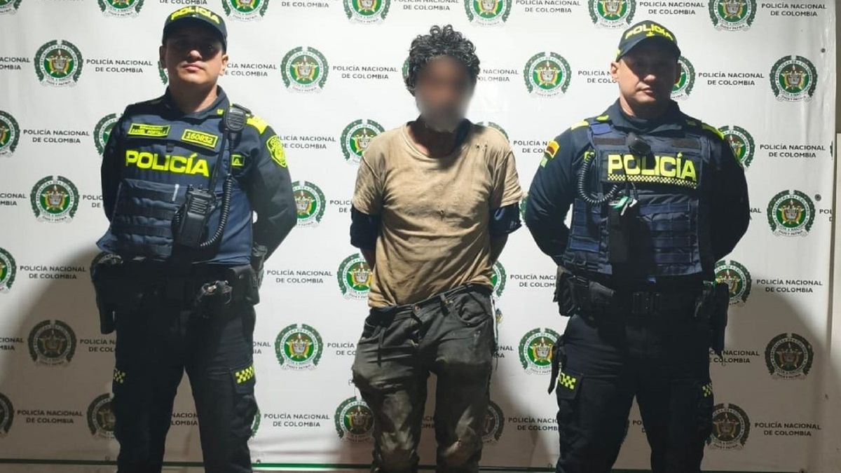 Hombre capturado por agredir gato con arma blanca