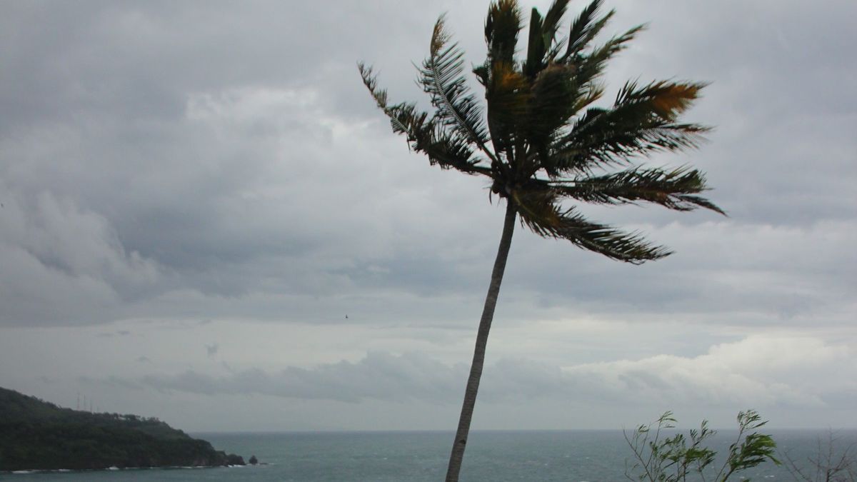 Vientos en el Caribe colombiano