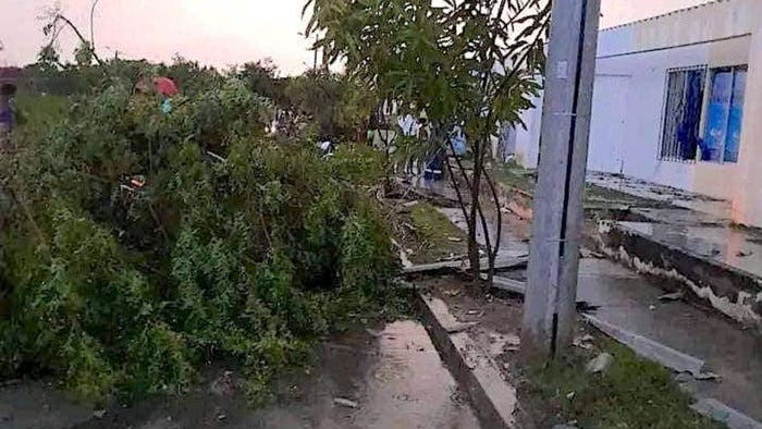 Árboles caídos en Atlántico y Barranquilla