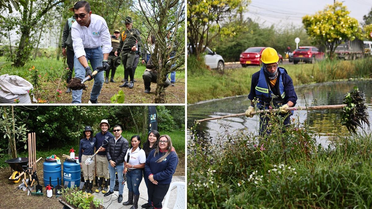 Humedal Gualí tendrá nuevo vivero para cuidar el agua y la biodiversidad