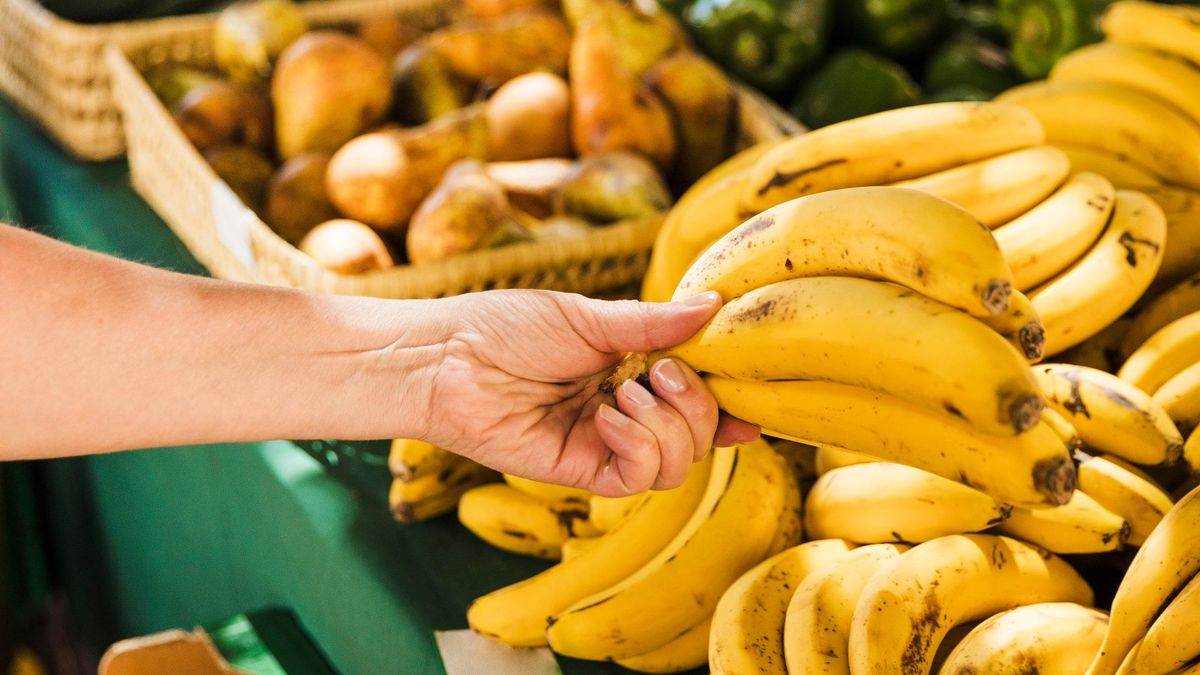 SIC multa a fruver Jenagro