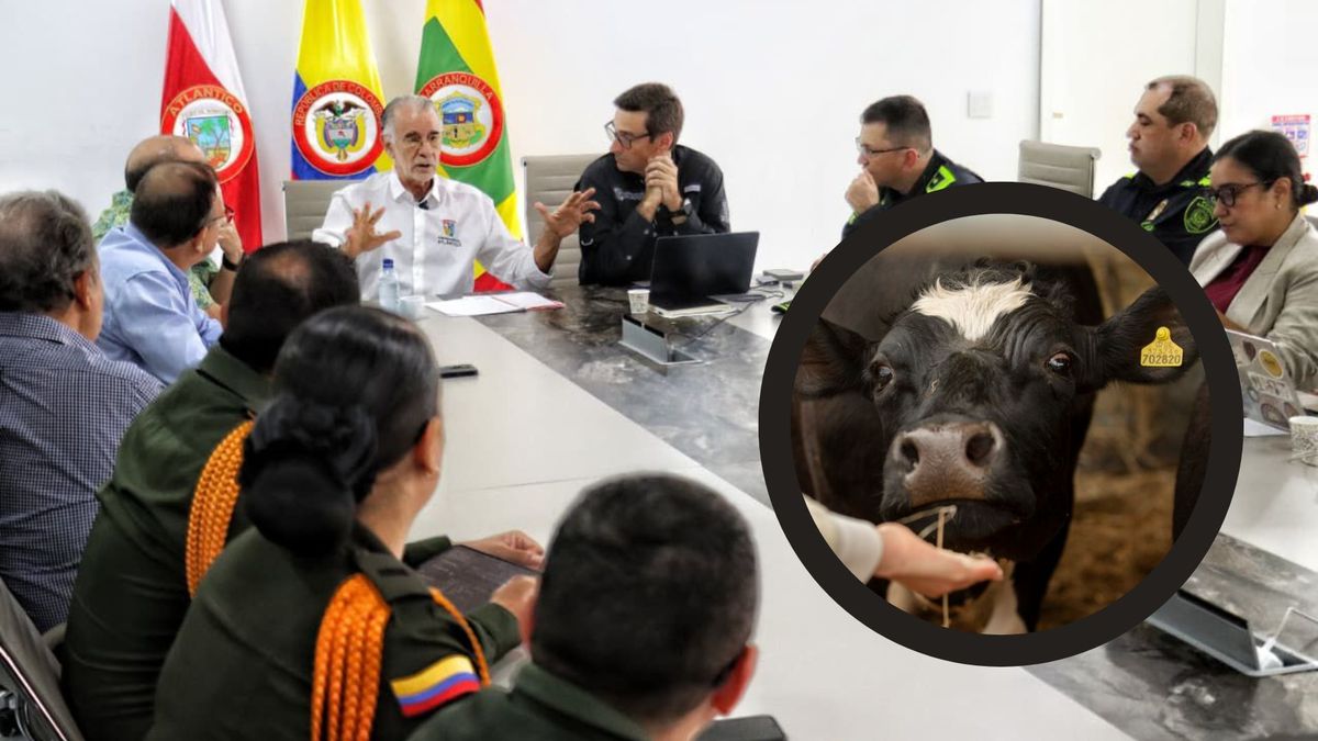 Abigeato en Atlántico