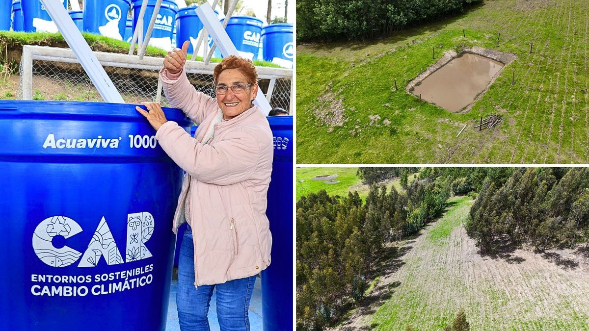 CAR Cundinamarca invierte $261.000 millones contra el cambio climático