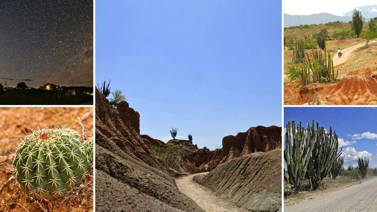 Cómo llegar al Desierto de la Tatacoa: el plan ideal para este fincho