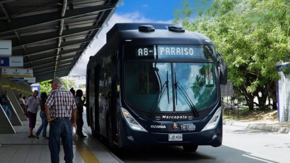 Alimentador de Transmetro