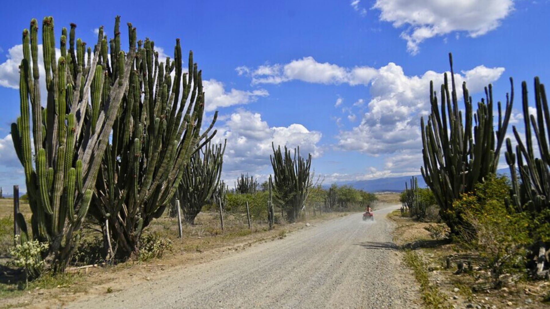 Cómo llegar al Desierto de la Tatacoa: el plan ideal para este fincho