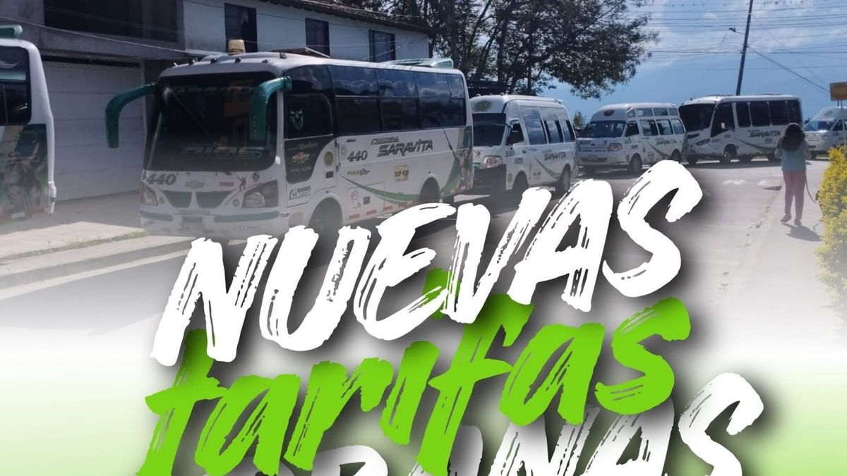 Buses de Cootrasaravita (Socorro - Palmas del Socorro)
