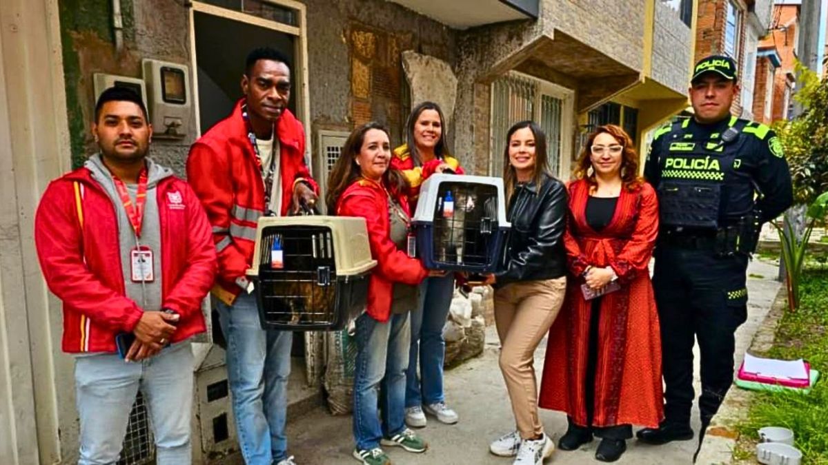 Una denuncia ciudadana permitió el rescate de los gatos en Suba Tibabuyes.