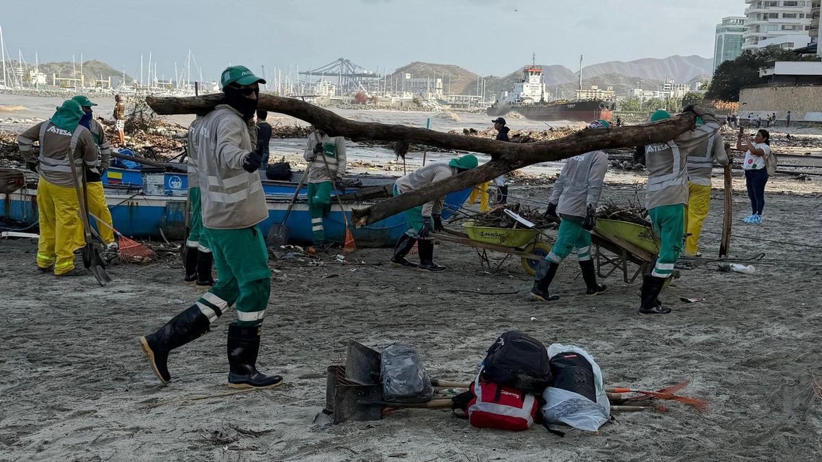 Basuras recolectadas en Santa Marta.
