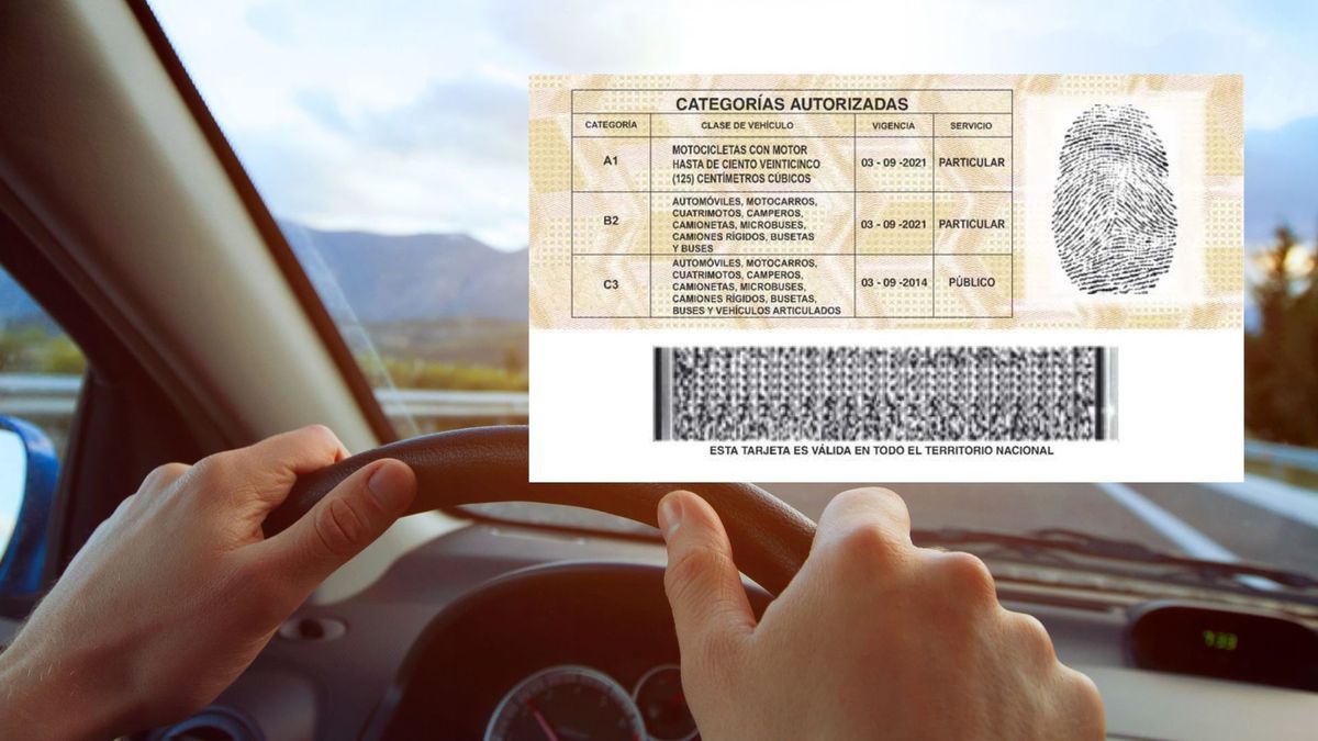 Licencia de conducción gratis: solo necesita un certificado actualizado