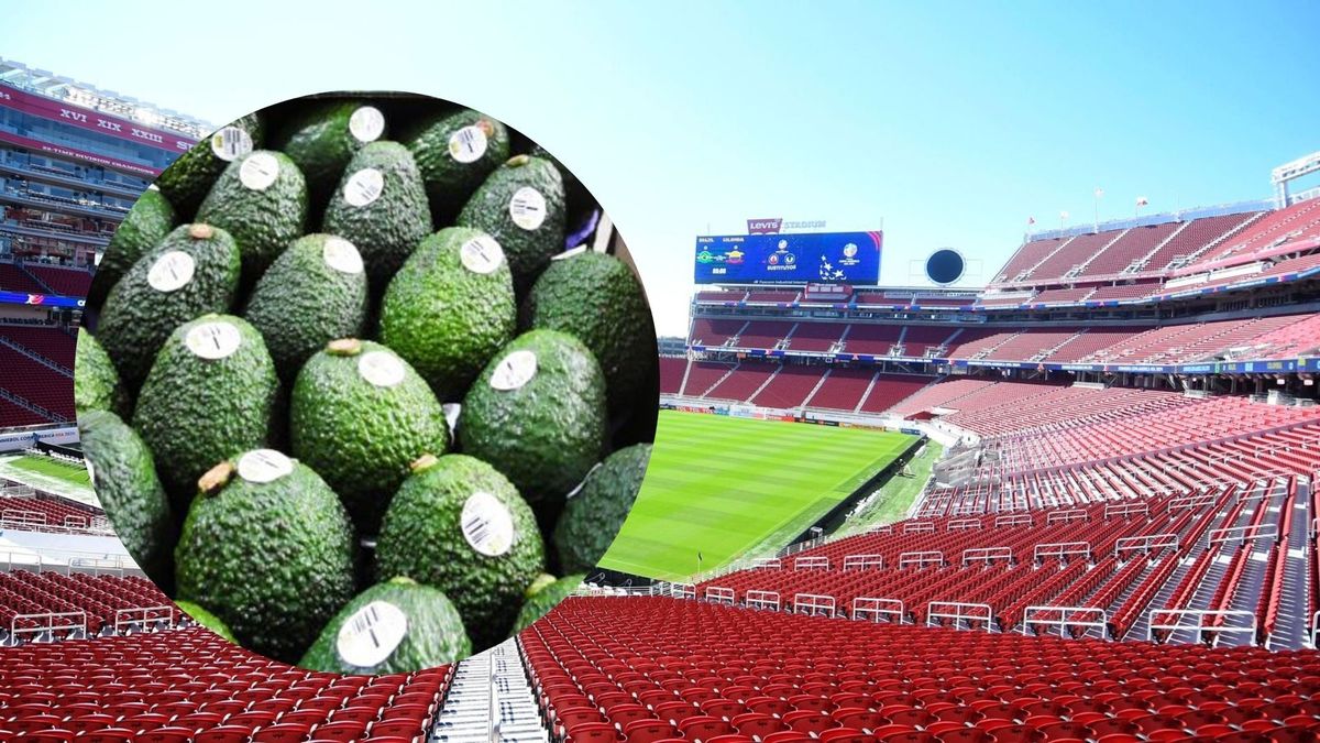 Levi’s Stadium, ubicado en Santa Clara, California (fondo) - aguacate Hass