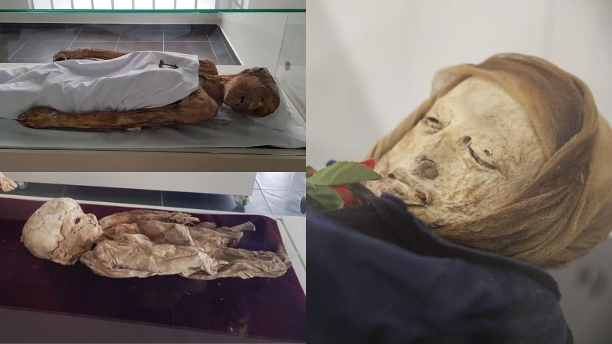 Momias en San Bernardo, Cundinamarca