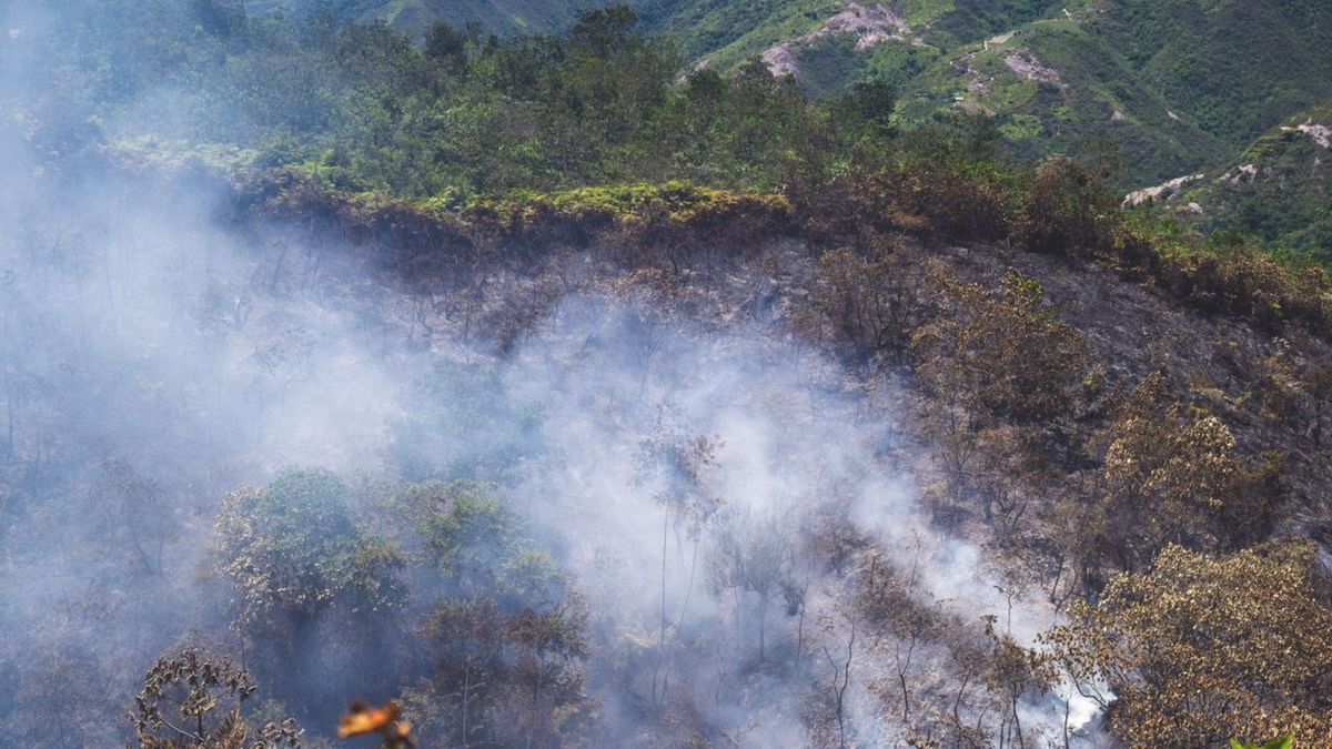 Incendio forestal en Ocaña