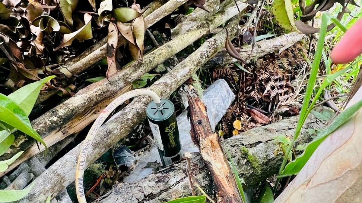 Destruyen artefacto explosivo en vereda de Briceño