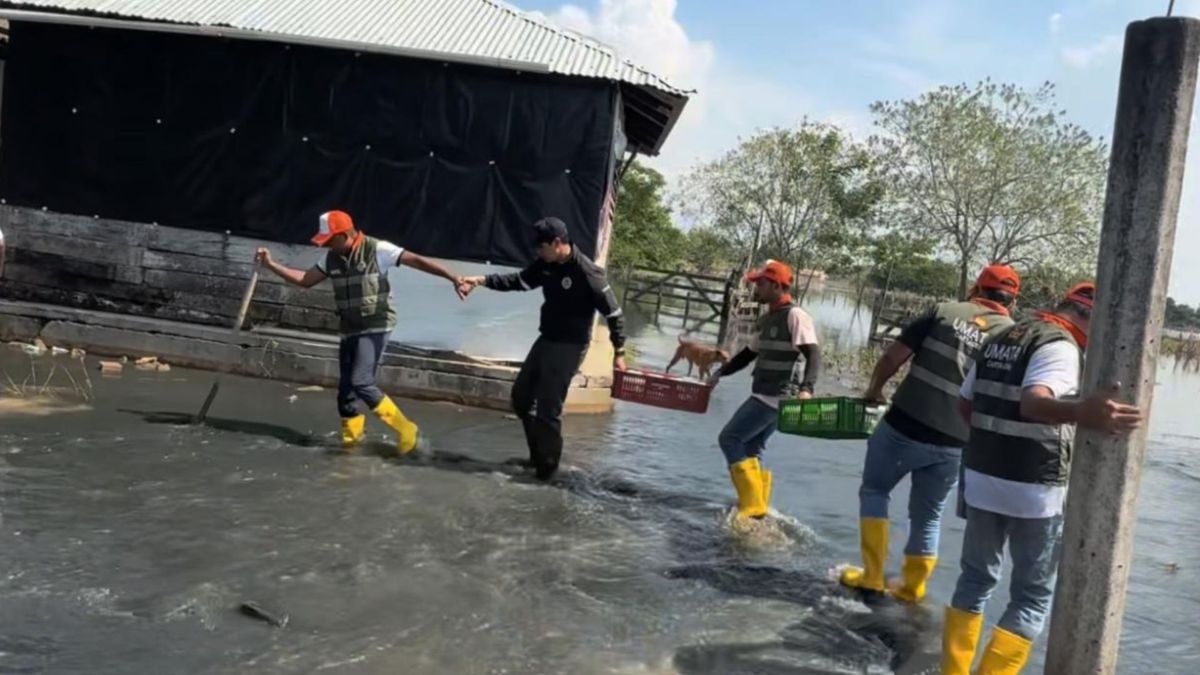 Umata Cartagena en Montería