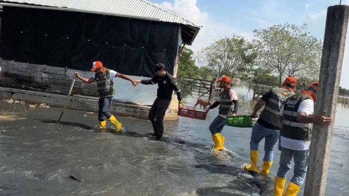 Umata Cartagena en Montería