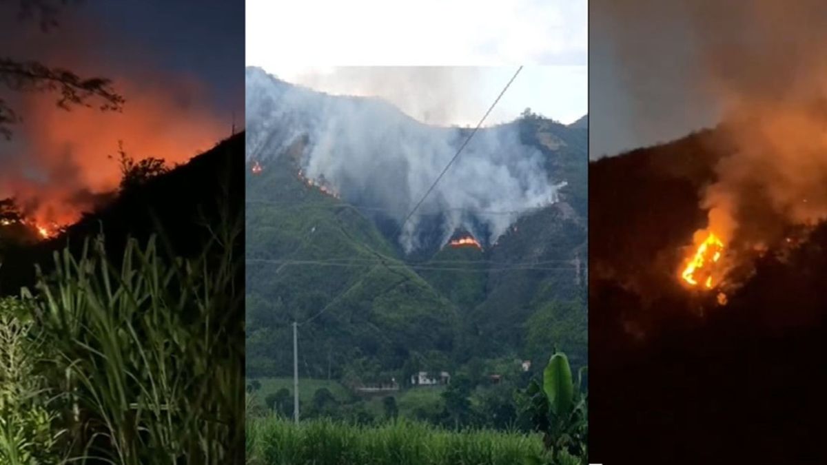 Incendio forestal en Mogotes, Santander