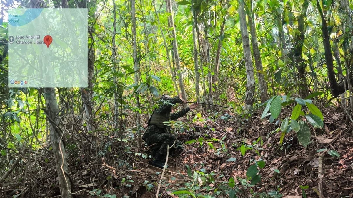 Operativo militar evitó riesgo por explosivos en zona rural de Anorí