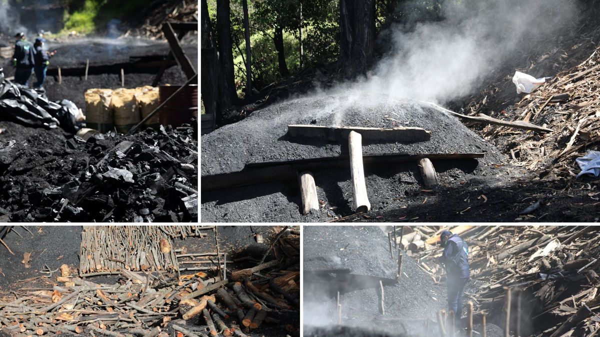 Carbón ilegal en Ráquira: desobedecieron y cayeron otra vez