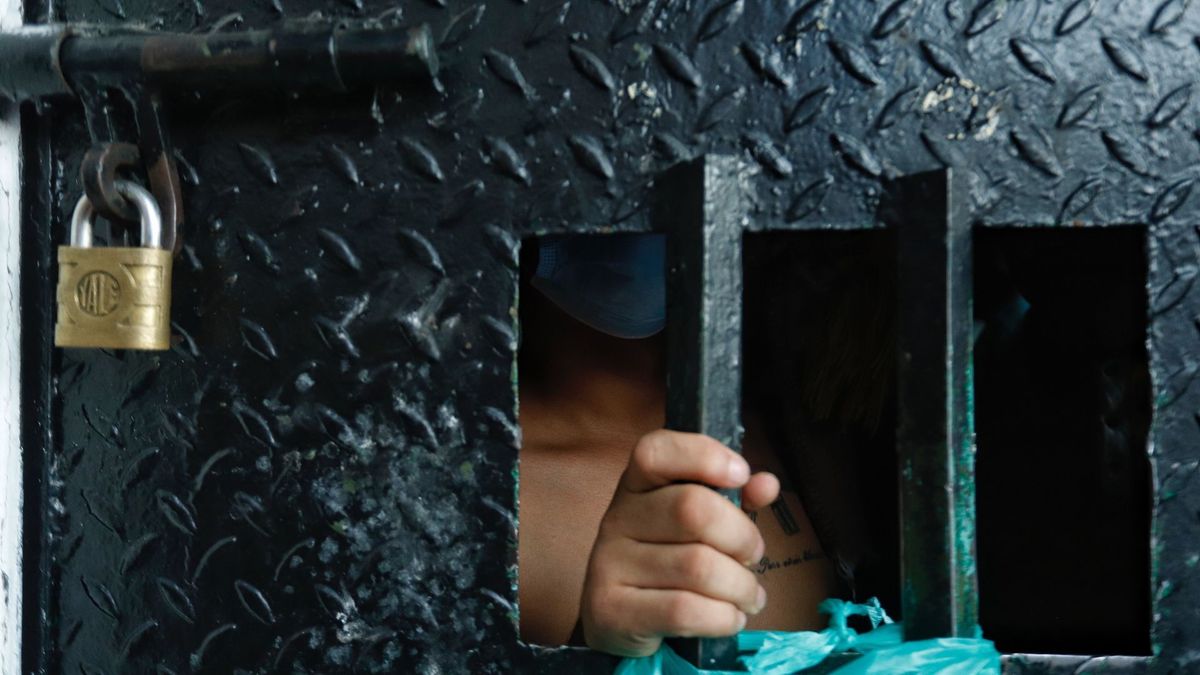 Imagen de referencia de la celda de una URI