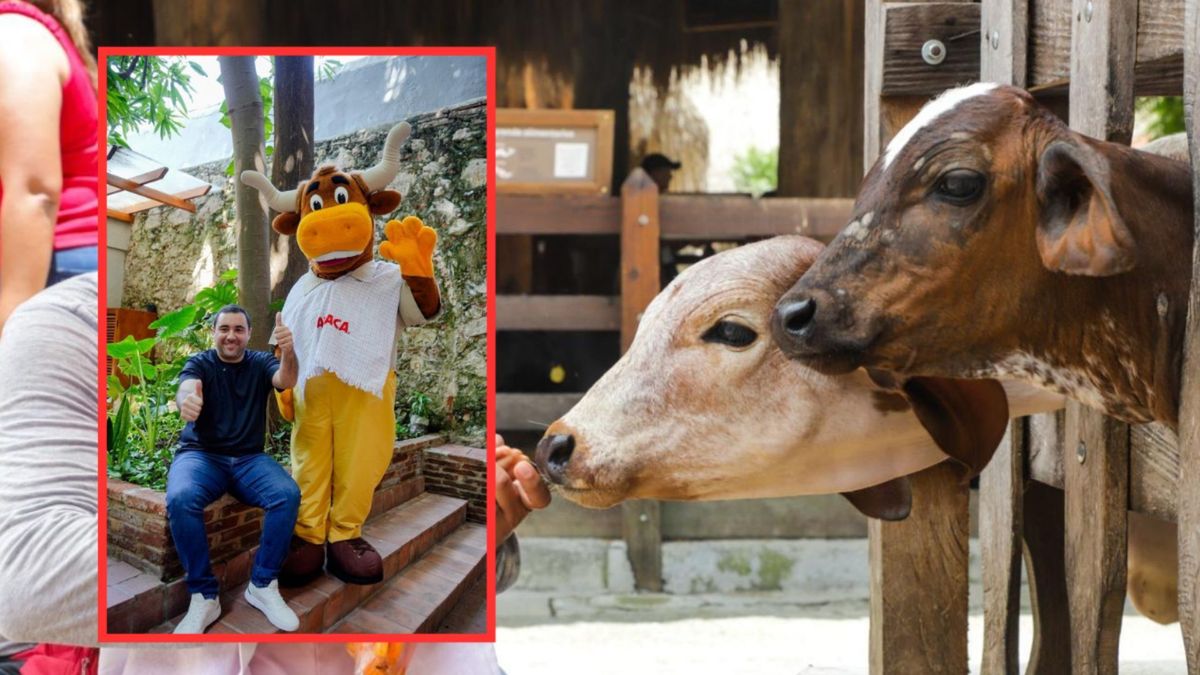 PANACA Viajero en Bolívar
