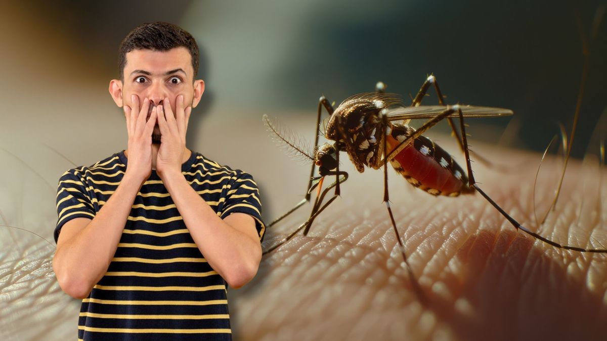 Si tiene dengue, no haga esto: 6 errores que empeoran el cuadro