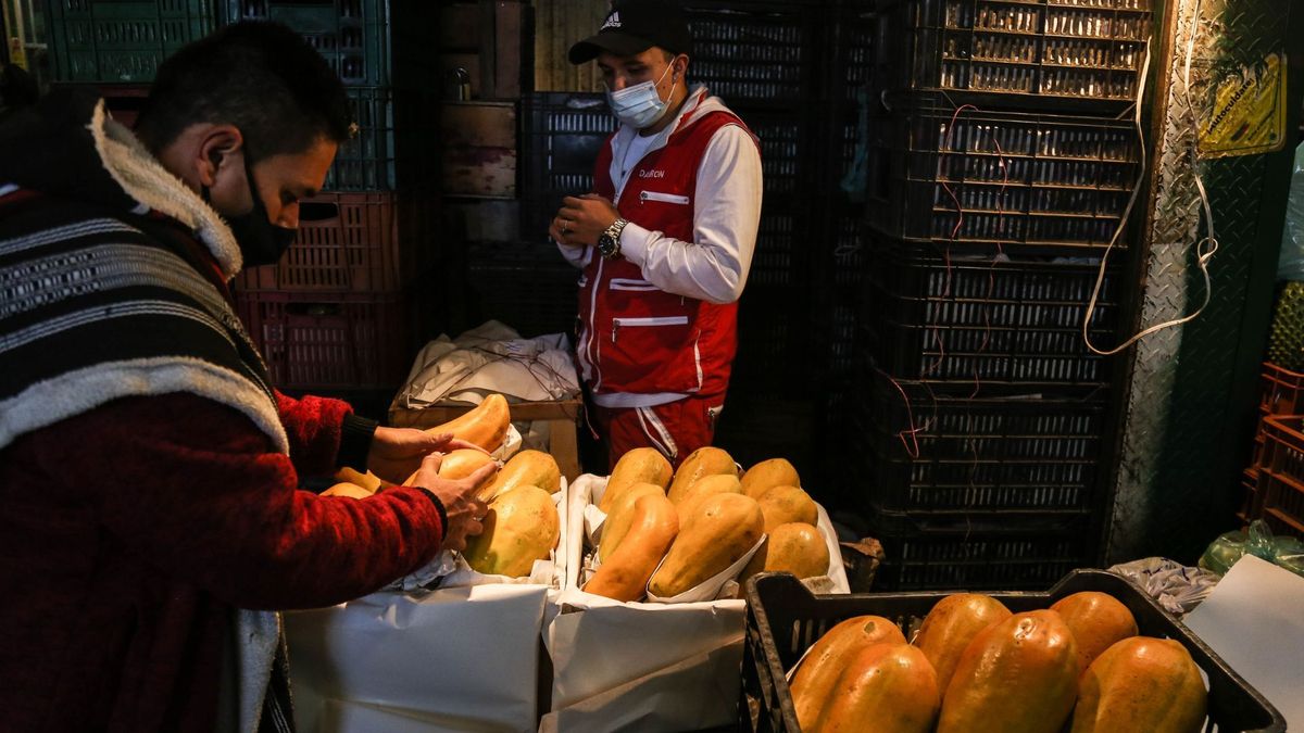 Comerciantes de papaya en Corabastos