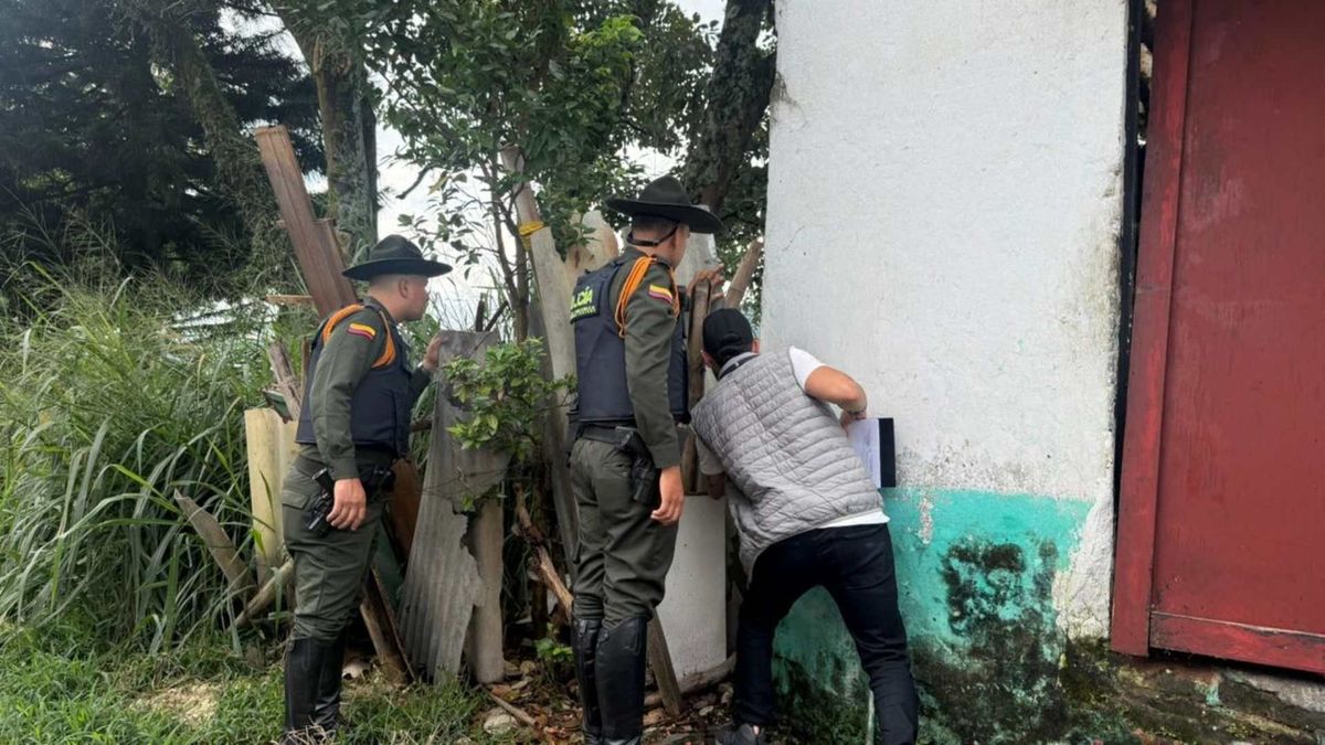 Autoridades descartan maltrato a felinos en Ibagué